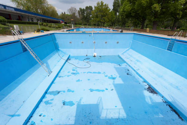 Best Mold removal after water damage  in Escatawpa, MS