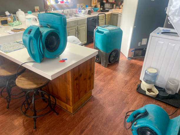 Best Water damage restoration near me  in Escatawpa, MS