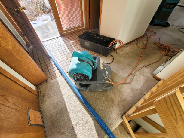 Best Residential water damage restoration  in Escatawpa, MS