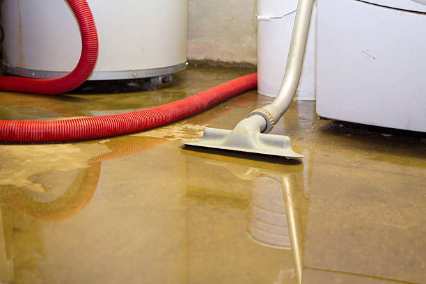 Best Fire Damage Restoration  in Escatawpa, MS