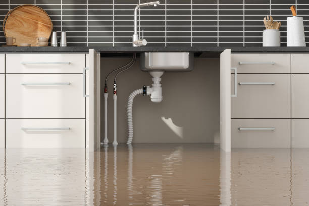  Escatawpa, MS Water damage restoration Pros