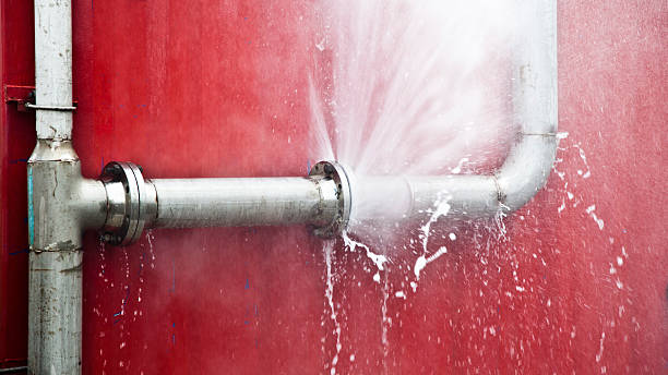 Best Sewage cleanup and water damage restoration  in Escatawpa, MS