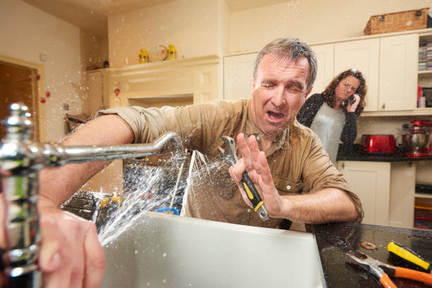 Best Flood restoration services  in Escatawpa, MS